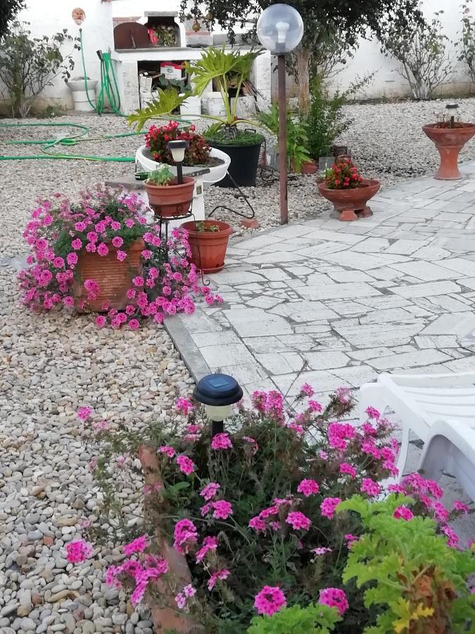 B&B Villa Claudia Anzio Ngoại thất bức ảnh